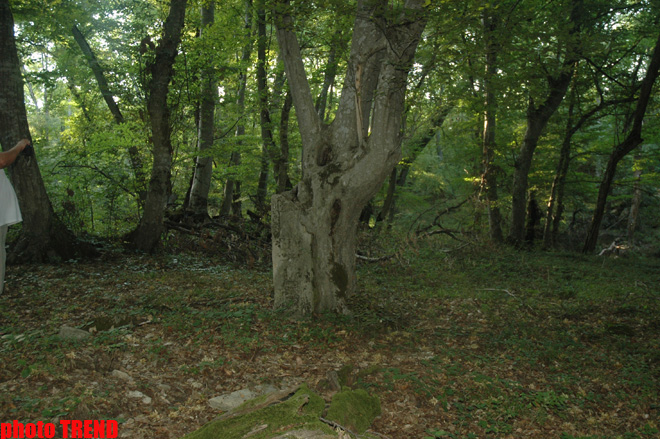 Бездорожье - жизнь вне дорог экстремалов и настоящих мужчин (фотосессия)