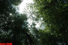 Бездорожье - жизнь вне дорог экстремалов и настоящих мужчин (фотосессия)