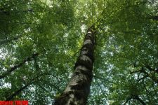 Бездорожье - жизнь вне дорог экстремалов и настоящих мужчин (фотосессия)