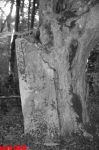 Бездорожье - жизнь вне дорог экстремалов и настоящих мужчин (фотосессия)