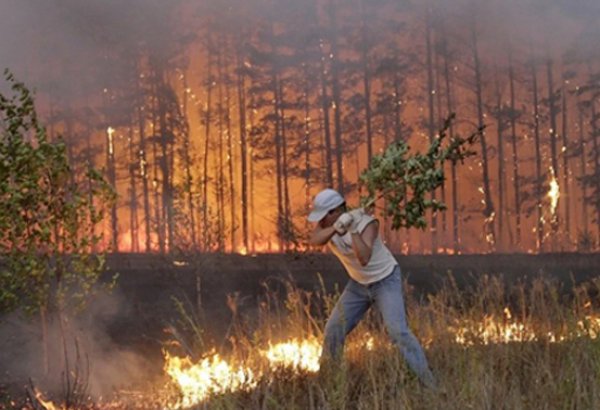 California declares statewide emergency due to wildfires