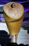 Леди Гага стала триумфатором MTV EMA 2010 (фотосессия)