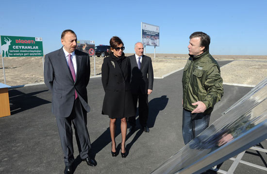 Azerbaijani President watches re-introduction of flock of gazelles to State Reserve (PHOTO)