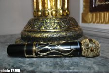 Гигиенический золотой микрофон Натаван Хабиби: "А может остались брызги его слюны?" (фотосессия)