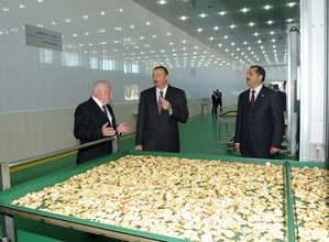 President Ilham Aliyev opens fruit drying and processing enterprise in Samukh (PHOTO)