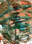 Живописная космогония в монотипиях Гусейна Алиева: трепещущие тени, мерцающий свет… (ФОТО)