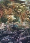 Живописная космогония в монотипиях Гусейна Алиева: трепещущие тени, мерцающий свет… (ФОТО)