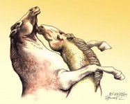 Ох, вы кони, мои кони (фотосессия)