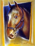 Ох, вы кони, мои кони (фотосессия)