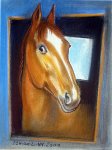 Ох, вы кони, мои кони (фотосессия)