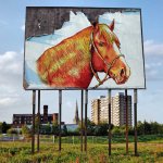 Ох, вы кони, мои кони (фотосессия)