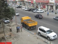 В Баку вырубают "грешников", или Символика дерева (фотосессия)