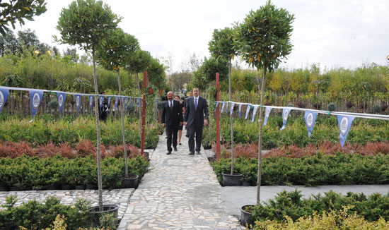 President Ilham Aliyev inaugurated planting stock in Gobustan (PHOTO)