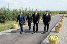 Ильхам Алиев ознакомился в Губе с комплексом холодильного склада для сортировки и хранения фруктов (ФОТО)