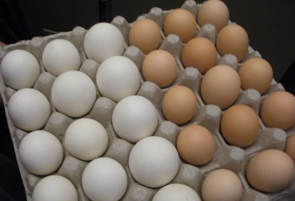 Prices for milk, eggs drop in Tajikistan