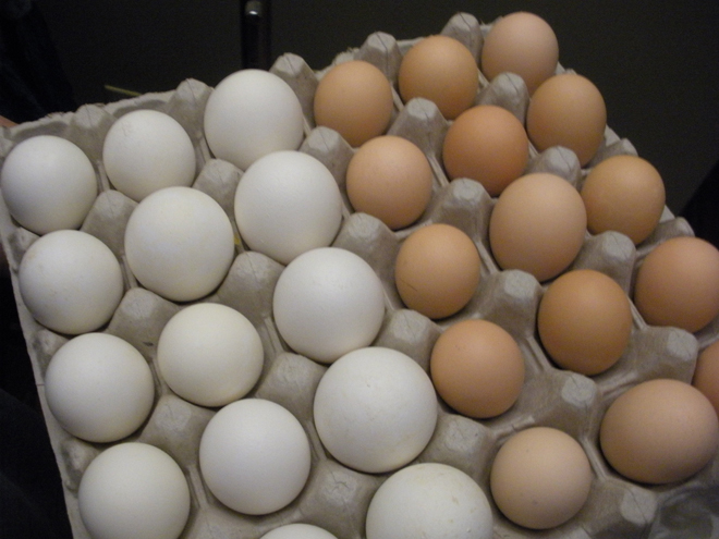 Prices for milk, eggs drop in Tajikistan