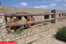 Историко-этнографический Музейный Комплекс под открытым небом в селе Гала (фотосессия)