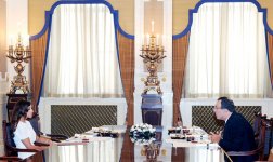 Первая леди Азербайджана провела ряд встреч (ФОТО)