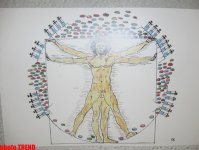 Баку - центр искусства карикатуры, или "Нет" наркотикам!" (фотосессия)