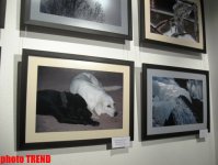 Молодая азербайджанская художница показала свою Страну чудес (фотосессия)