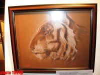 Молодая азербайджанская художница показала свою Страну чудес (фотосессия)