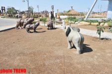 "Ожившие камни" на Абшеронском полуострове (фотосессия)