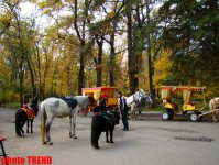 В двух столицах Казахстана: Алматы – "город яблок", Кок тобе, два храма (фотосессия, часть 1)