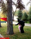 В двух столицах Казахстана: Алматы – "город яблок", Кок тобе, два храма (фотосессия, часть 1)