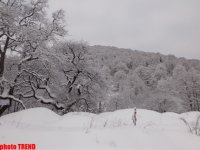 От релакса в Боржоми до зимнего драйва в Бакуриани - глазами азербайджанца (фото, часть 2)