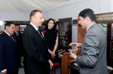 Президент Азербайджана ознакомился с археологическим памятником Гейтепе (ФОТО)