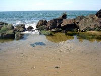 Солнечный день у Атлантики (фотосессия)