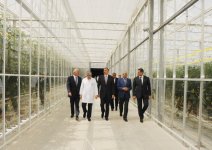 Ильхам Алиев ознакомился с тепличным комплексом ООО "Green Tech" группы компаний "Azərsun Holdinq" (ФОТО)