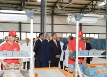 Ильхам Алиев ознакомился с тепличным комплексом ООО "Green Tech" группы компаний "Azərsun Holdinq" (ФОТО)