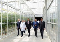 Ильхам Алиев ознакомился с тепличным комплексом ООО "Green Tech" группы компаний "Azərsun Holdinq" (ФОТО)