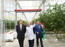 Ильхам Алиев ознакомился с тепличным комплексом ООО "Green Tech" группы компаний "Azərsun Holdinq" (ФОТО)