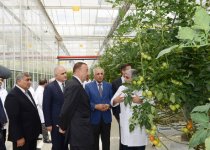 Ильхам Алиев ознакомился с тепличным комплексом ООО "Green Tech" группы компаний "Azərsun Holdinq" (ФОТО)