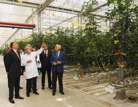 Ильхам Алиев ознакомился с тепличным комплексом ООО "Green Tech" группы компаний "Azərsun Holdinq" (ФОТО)