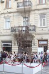 Организация YARAT! представила проект Фуада Салаева "Дыхание земли" (ФОТО)