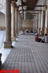 Египет после революции глазами азербайджанца (фотосессия)