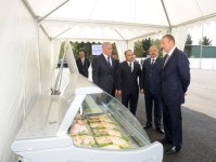 Президент Ильхам Алиев ознакомился с открытым после реконструкции предприятием по производству мяса птицы ОАО «Джалилабад Бройлер» (ФОТО)