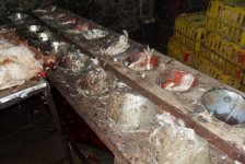 В двух объектах в Баку выявлены грубые нарушения при забое домашней птицы (ФОТО)