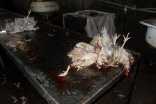 В двух объектах в Баку выявлены грубые нарушения при забое домашней птицы (ФОТО)