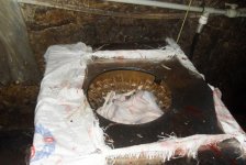 В двух объектах в Баку выявлены грубые нарушения при забое домашней птицы (ФОТО)