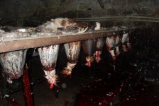 В двух объектах в Баку выявлены грубые нарушения при забое домашней птицы (ФОТО)