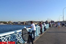 В Стамбул на рыбалку, или Долма из скумбрии (фотосессия)