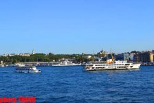 В Стамбул на рыбалку, или Долма из скумбрии (фотосессия)