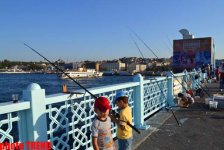 В Стамбул на рыбалку, или Долма из скумбрии (фотосессия)