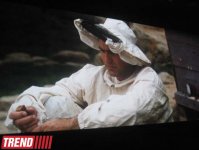Фильм Мурада Ибрагимбекова удостоен двух призов на Российском кинофестивале "Литература и кино" (фото)