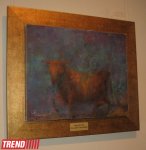 Очарование и красота "Райских снов" Инны Костиной в Баку (фотосессия)