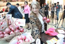 В Азербайджане состоится праздничный концерт, посвященный Фестивалю граната (фото)